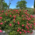 Le Rosse Di Montebuono Lantgård *