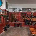 Le Rosse Di Montebuono Gospodarstwo agroturystyczne