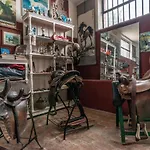 Le Rosse Di Montebuono * Magione