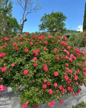 Le Rosse Di Montebuono Фермерский дом *