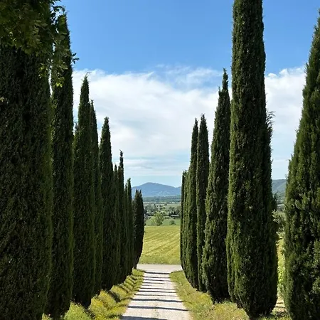 Le Rosse Di Montebuono *