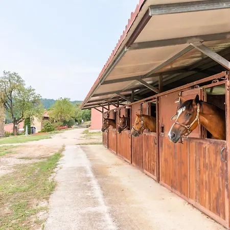 Le Rosse Di Montebuono