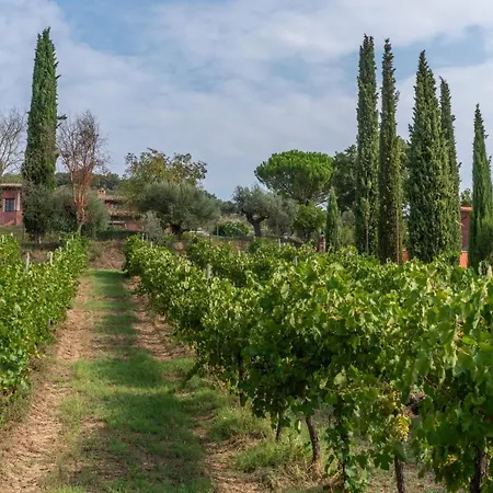 Le Rosse Di Montebuono *