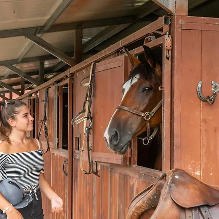 Le Rosse Di Montebuono * Magione