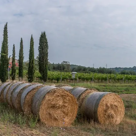 Le Rosse Di Montebuono Magione